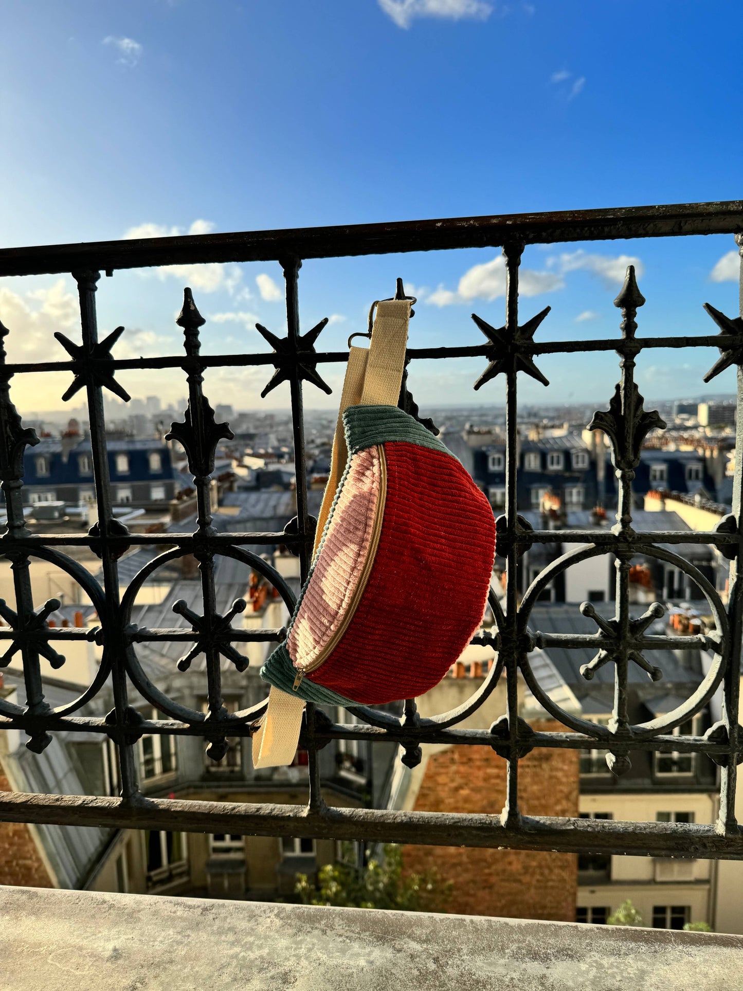 Bananes bicolores suspendue à une rambarde en fer forgé, dans des tons rouge, rose et vert, photographiée en extérieur avec vue sur les toits parisiens et un ciel bleu lumineux.