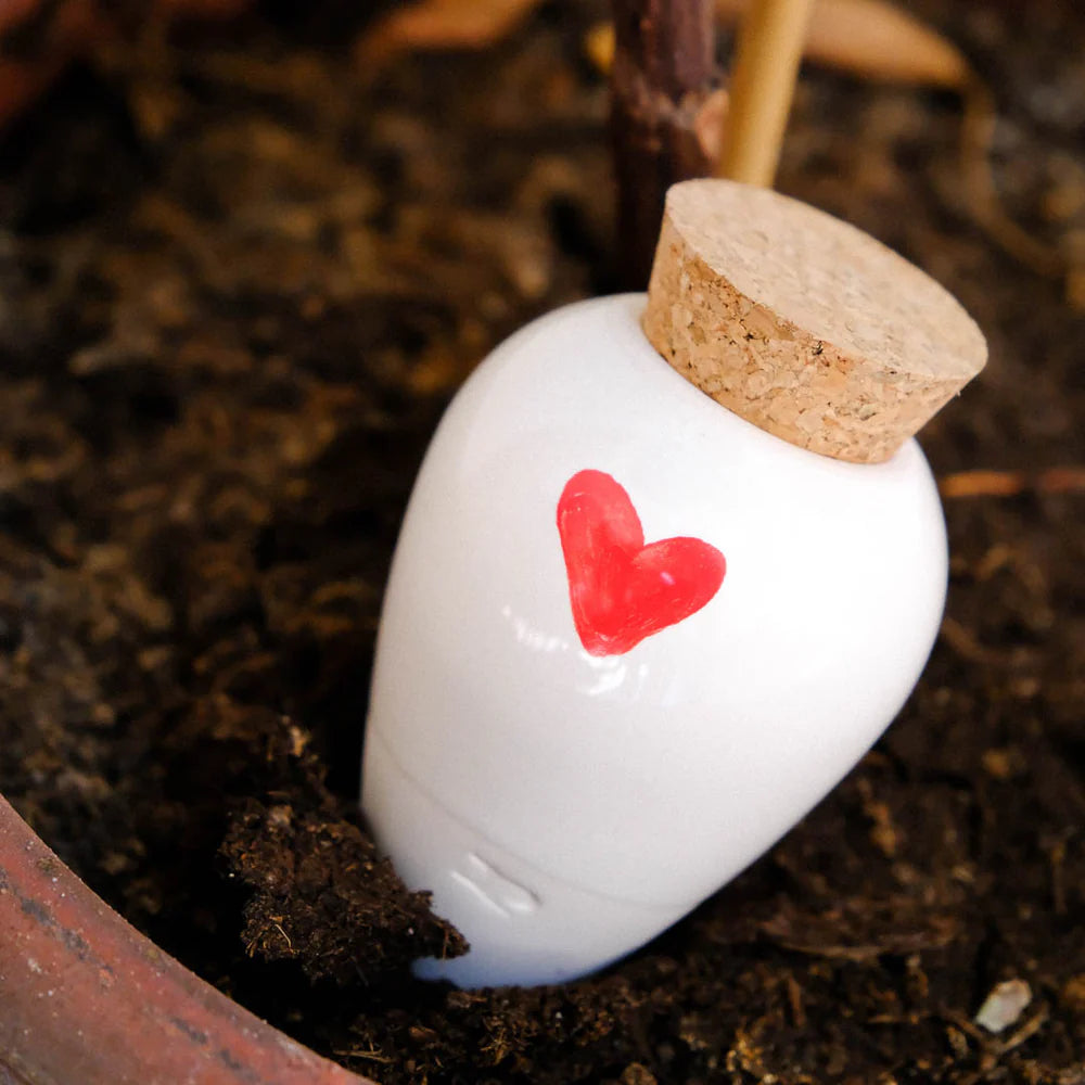 Olla blanche au motif cœur rouge, plantée dans la terre d’un pot de plante pour un arrosage naturel.